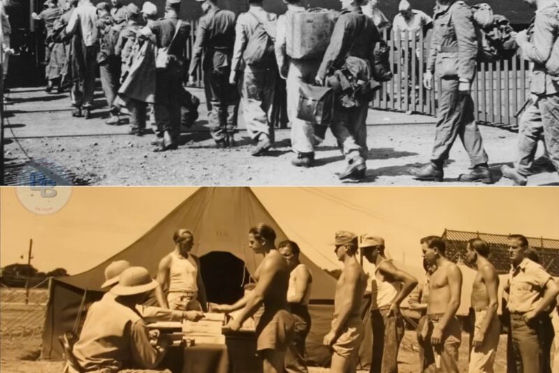 When German POWs Reached America It Was The Most Unusual Sight For Them 