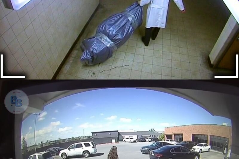 The Town’s Most Loved Doctor Had a Secret Basement — Camera Caught Him Dragging Her Body 