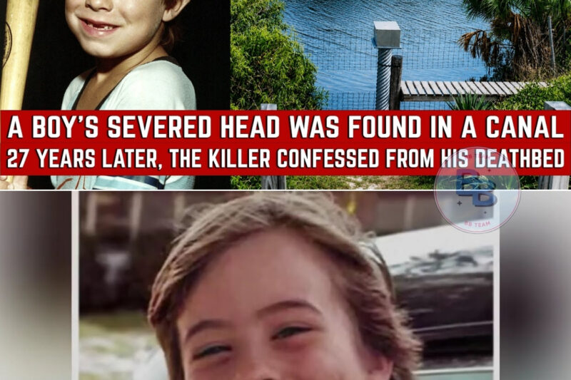 Florida 1981 Cold Case Solved — Arrest Shocks Community