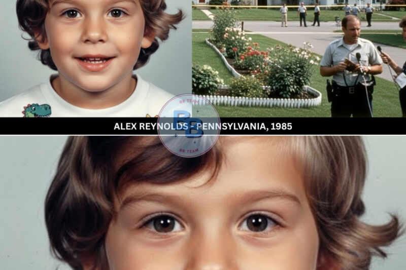 SOLVED: Missing in Pennsylvania | Alex Reynolds, 4 | Found Alive After 23 Years