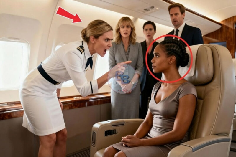 White CEO Ordered to Move for a More Important Passenger—Moments Later, She Shuts Down the Airl