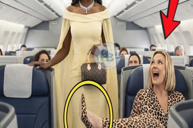 Black Woman CEO’s Seat Stolen by White Passenger — Seconds Later, the Entire Flight Is Grounded