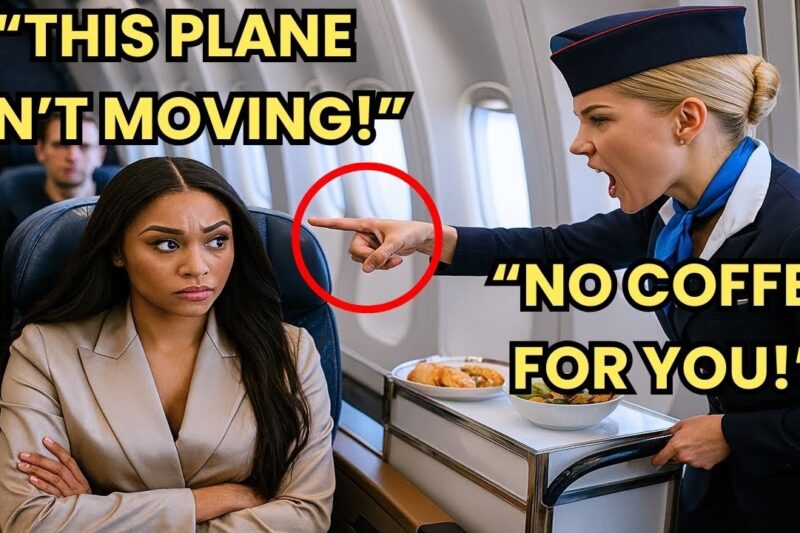 Flight Attendant Refuses to Serve Black CEO — Then She Grounds the Plane Before Everyone