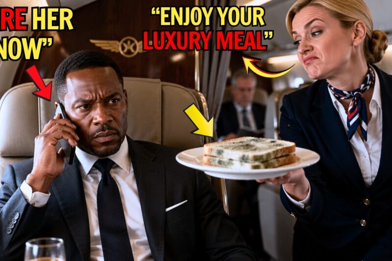 Black CEO Served Moldy Food —So He Fires The Racist Flight Attendant On Landing