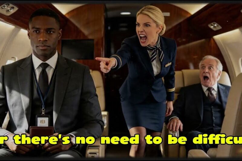 He Was Asked to Give Up His Seat for a VIP — Then the Entire Flight Was Shut Down