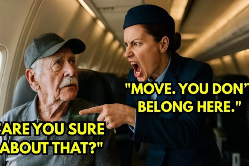 Flight Attendant Ordered The Old Man To Move — 9 Minutes Later, The Pilot Stopped The Entire Flight
