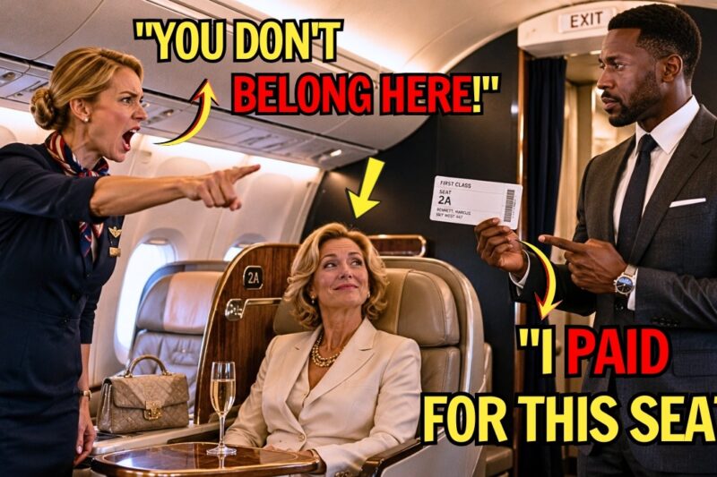 White Woman’s Bag Blocks Black CEO’s Seat, Minutes Later the Flight Is Cancelled In Shocking Twist