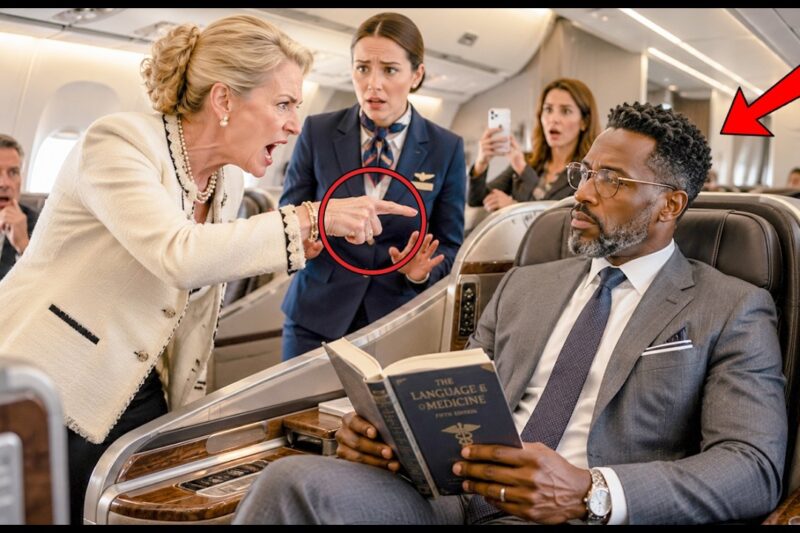 Racist Passenger Refused to Sit Next to Black Man—Then the Pilot Escorted HER Off the Plane