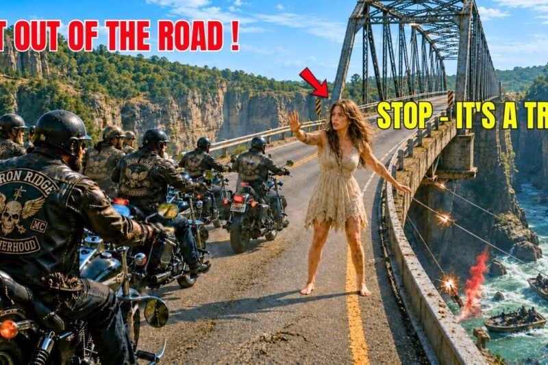 “Stop—It’s a Trap!” A Homeless Girl Warned 22 Hells Angels—What Happened Next Shocked Everyone