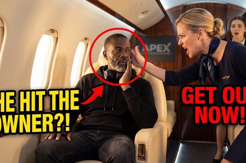 Attendant Slapped Black Billionaire on His Jet—10 Minutes Later, Her Career Was Over