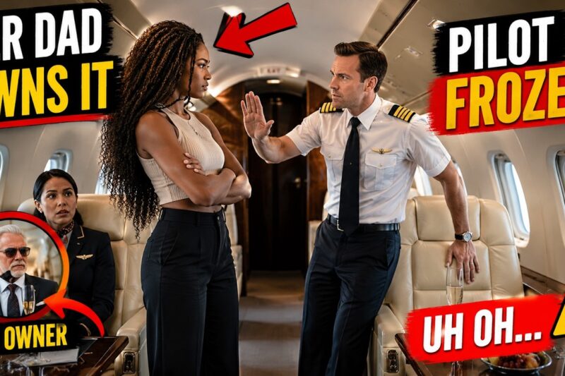 The Pilot Thought She Was Just Another Passenger—Then He Discovered Her Father Owned The Airline