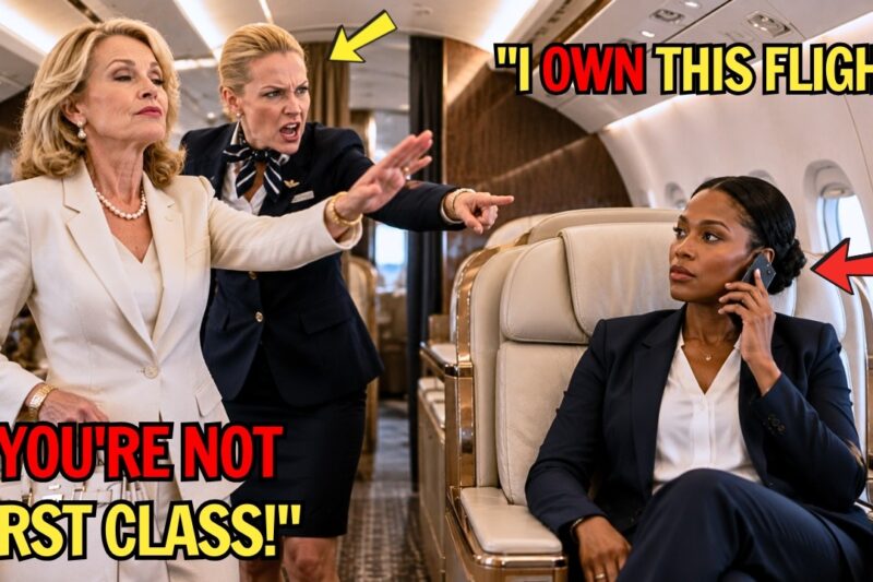 Black CEO Removed from VIP Seat for White Passenger — 5 Minutes Later, The Entire Crew Gets Fired